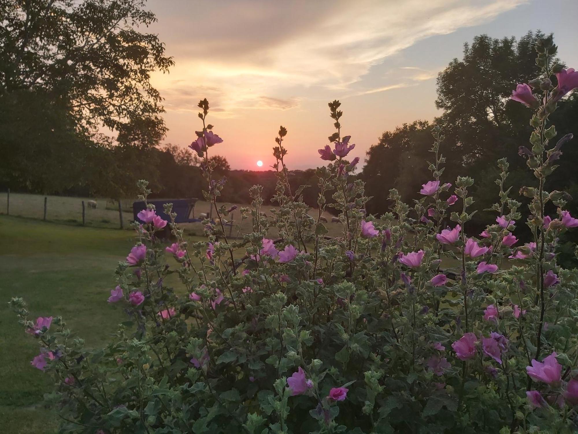 Le Pre De La Rue Bed & Breakfast Bouesse Bagian luar foto